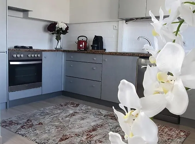 公寓 Senhora Da Guia Boutique 孔迪镇